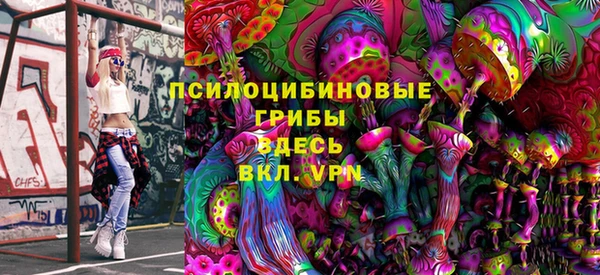 МДПВ Грязовец
