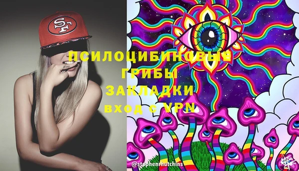 МДПВ Грязовец